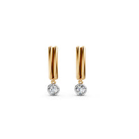 Diamond Diaries Earring