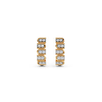 Diamond Diaries Earring
