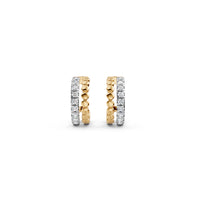 Diamond Diaries Earring