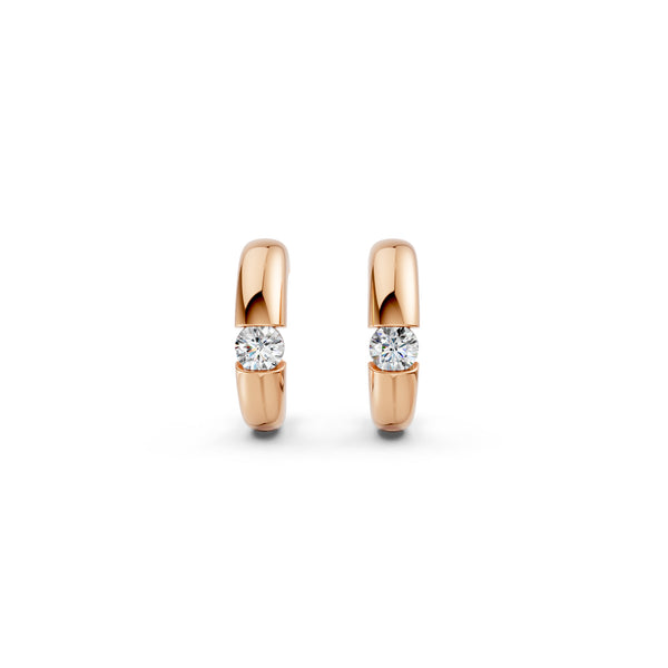 Diamond Diaries Earring