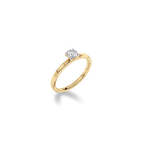 Diamond Diaries Meridian Solitaire Ring